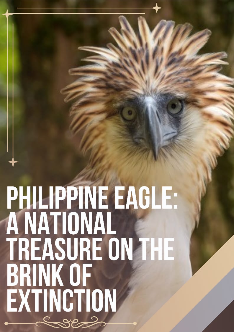 Philippine Eagle P